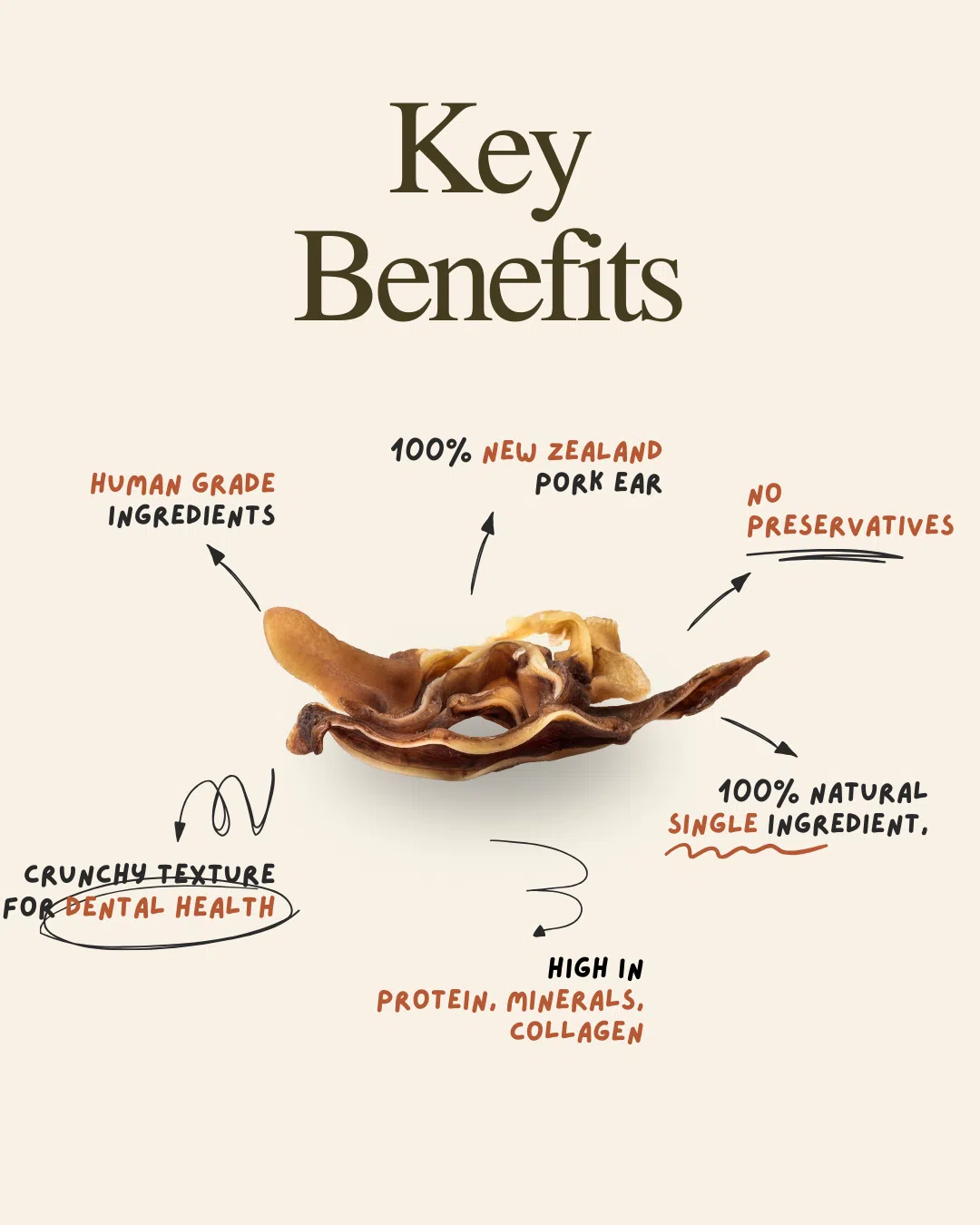 Sliced Pork Ears 80g - Image 3