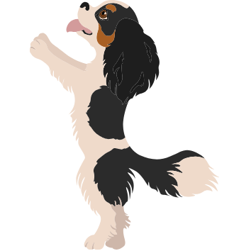 Dog Treats
