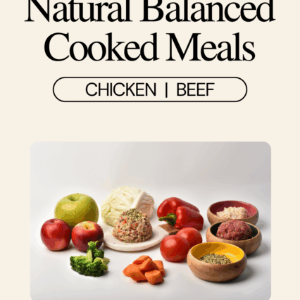 Balanced Cooked Meal