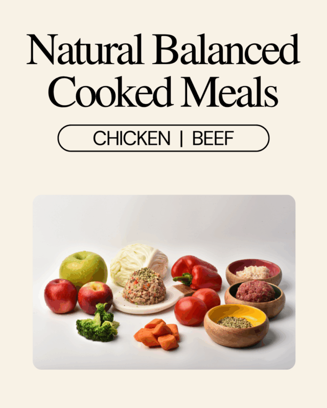 Balanced Cooked Meal